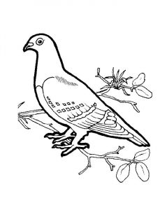 personality,child The 4 Birds Personality In A Child VBest Tuition Centre