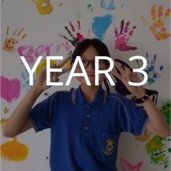 year 3 vbest