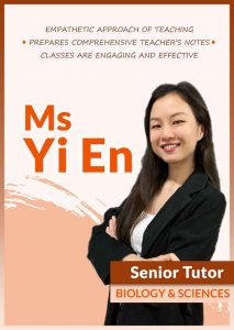 yien VBest Year 1 to Year 13 Tuition Centre
