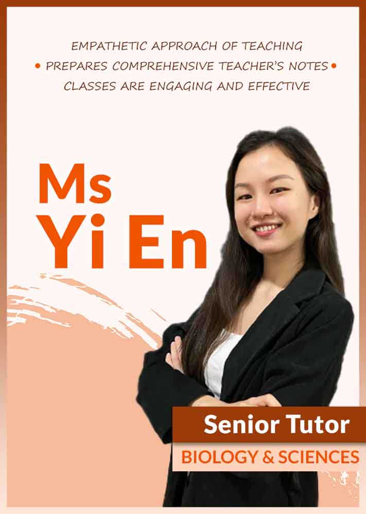 kota damansara tuition,kota damansara,tuition,tuition kota damansara,vbest tuition kota damansara,vbest,tuition centre,tuition centre kota damansara VBEST KOTA DAMANSARA FLAGSHIP BRANCH TOP TUTOR LINE UP & SCHEDULE VBest Year 1 to Year 13 Tuition Centre