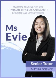 evie-2 VBest Year 1 to Year 13 Tuition Centre