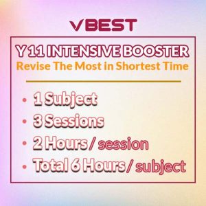 online class holiday booster y11 VBest Year 1 to Year 12 Tuition Centre
