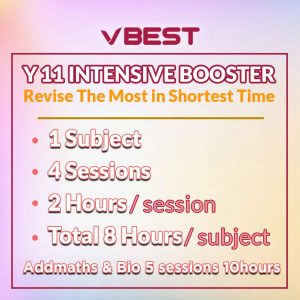 online-class-holiday-booster-Recovered VBest Year 1 to Year 13 Tuition Centre