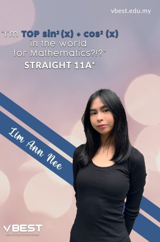 Lim Ann Nee1