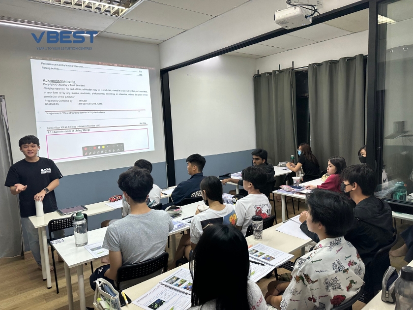 2024 igcse math syllabus