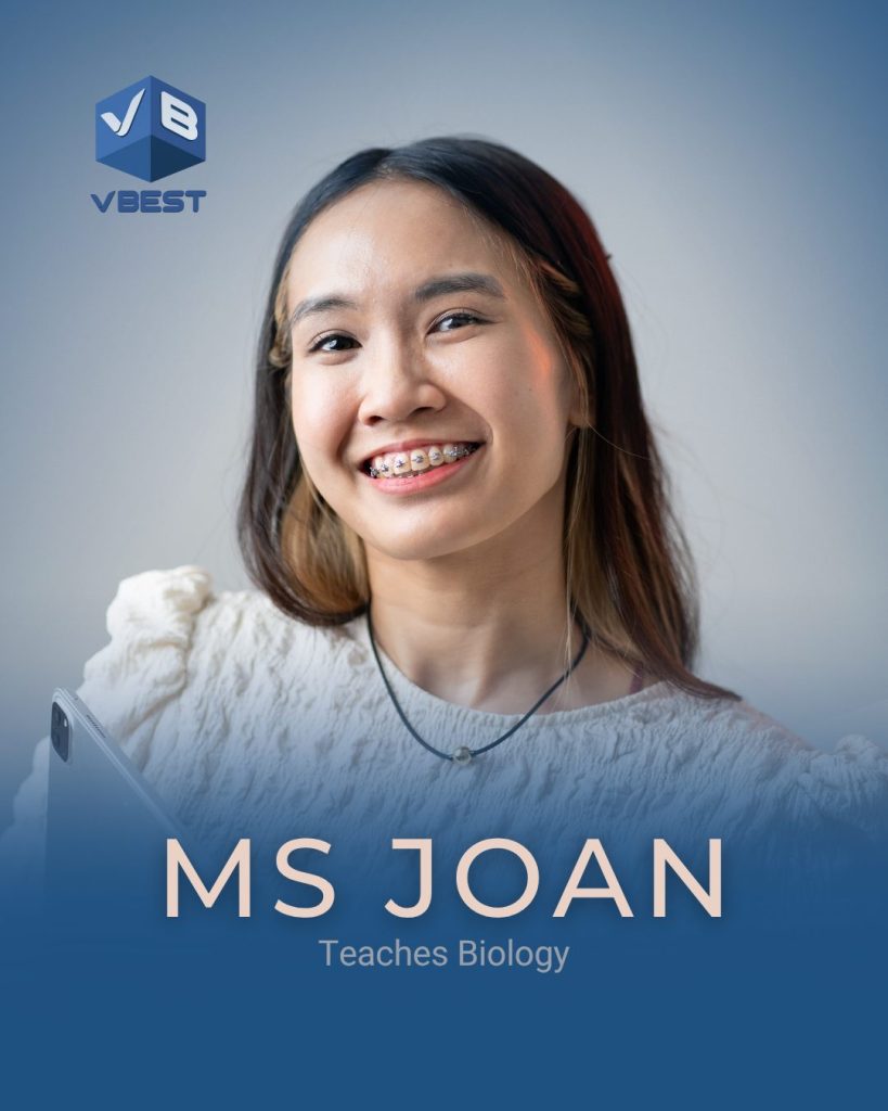 igcse intensive course,intensive course,igcse,intensive booster,igcse intensive 🏆 Booster - IGCSE Intensive Course Aug Sept 2026 VBest Tuition Centre