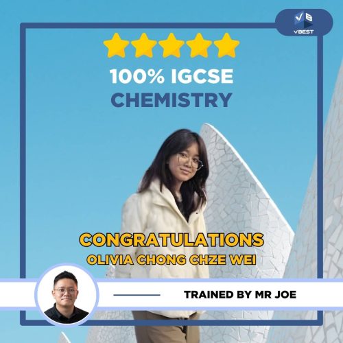 igcse results, highest, igcse, top students, success stories, igcse tuition, igcse tuition centre in malaysia, vbest, igcse tuition centre, tuition centre Success Stories 🏆 VBest Tuition Centre